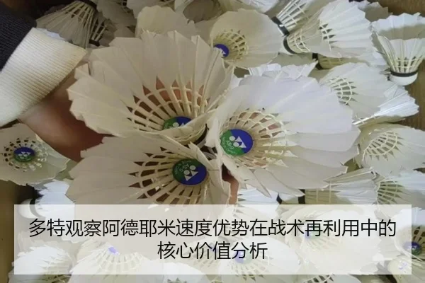多特观察阿德耶米速度优势在战术再利用中的核心价值分析