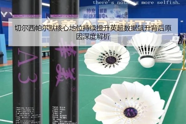 切尔西帕尔默核心地位持续提升英超数据飙升背后原因深度解析